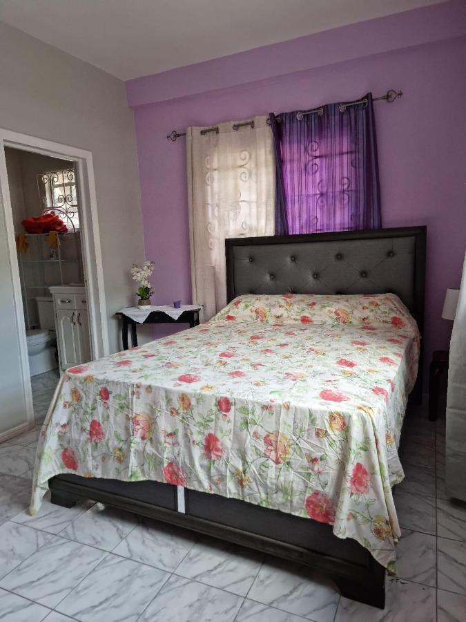 Coco Rose Apartments Soufrière Extérieur photo